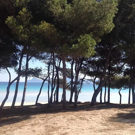 Beach *