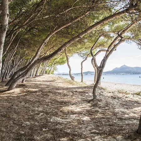 Beach Port de Alcudia (Mallorca)